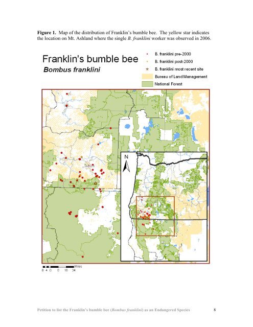 Franklin's bumble bee - The Xerces Society