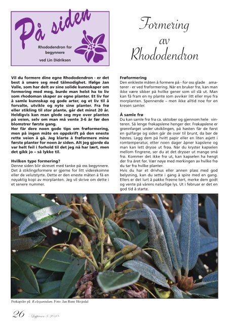 Utgave nr 3 - Den norske Rhododendronforening