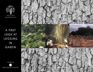 A FIRST LOOK AT LOGGING IN GABON - World Resources Institute