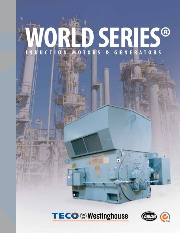 World Series Brochure - TECO-Westinghouse Motor Company