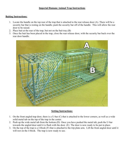 Humane Cat Traps & Trapping Instructions