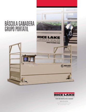 Descargar - Rice Lake Weighing Systems