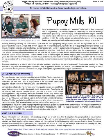 informative speech on dogs Scribd is the world's largest social reading and publishing site. informative speech on dogs Scribd is the world's largest social reading and publishing site.