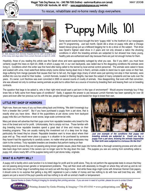 happy tails puppies puppy mill