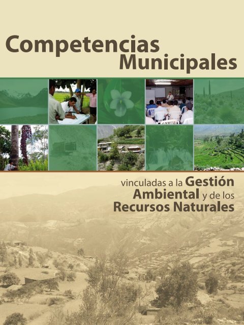 Competencias municipales vinculadas a la gestión ambiental y de ...