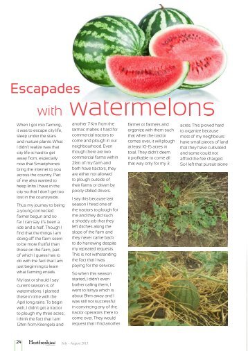 Escapades with Watermelons. - Hortfresh Journal