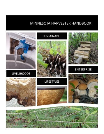 minnesota harvester handbook - My Minnesota Woods - University ...