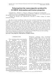 Polypropylene/clay nanocomposites produced by SCORIM