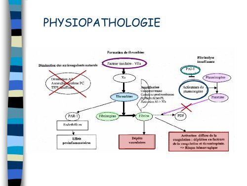 C l ti I t l i Coagulation Intravasculaire Disséminée