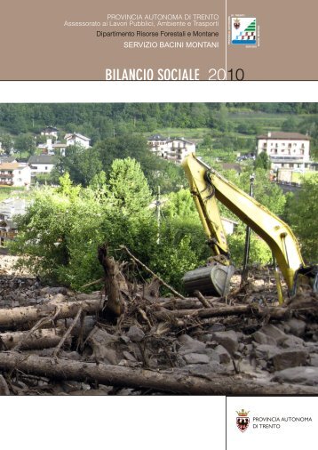 file pdf BILSOC2010 3789 KB - Servizio Bacini montani - Provincia ...