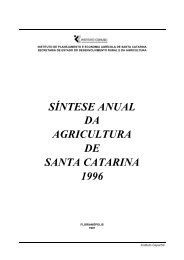 SÃ­ntese Anual da Agricultura de Santa Catarina - 1996 - Cepa
