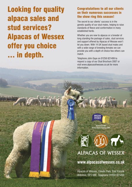 Winter - Classical MileEnd Alpacas