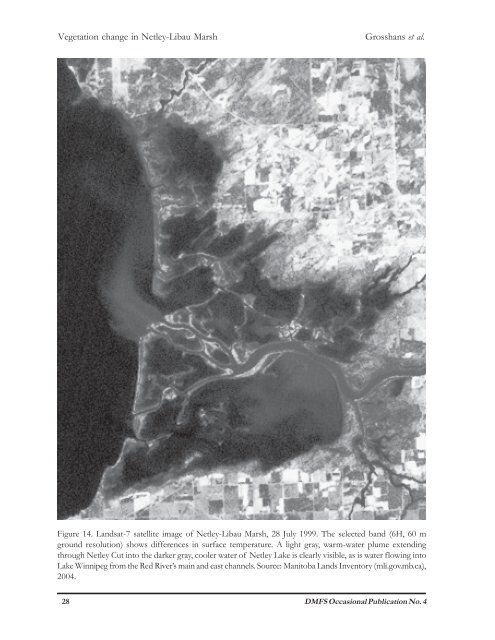 Changes in the Emergent Plant Community of Netley-Libau Marsh ...