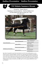 Derawnda Raye Stallion Presentation Stallion Presentation TB ...