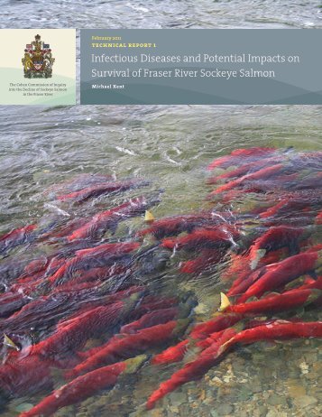 Infectious diseases and potential impacts on survival of Fraser River ...