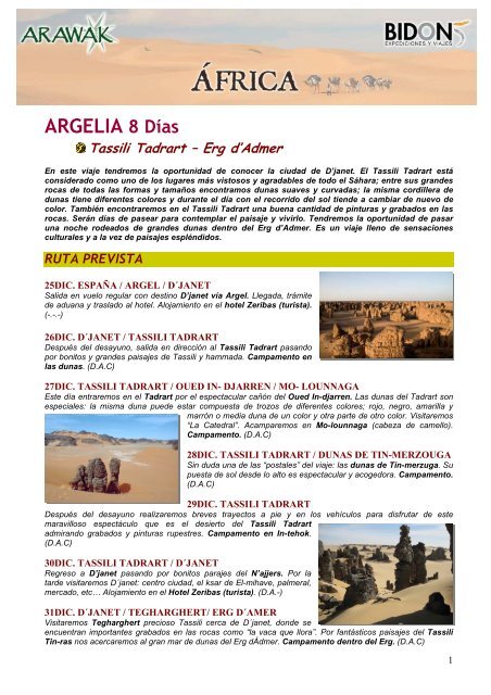 Argelia. Fin de AÃ±o Tassili Tadrart 25Dic - Bidon 5