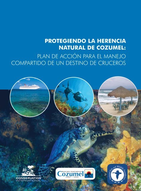 protegiendo la herencia natural de cozumel - Eco-Index