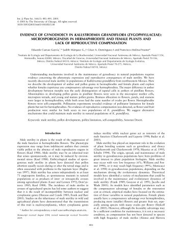 evidence of gynodioecy in kallstroemia grandiflora (zygophyllaceae)