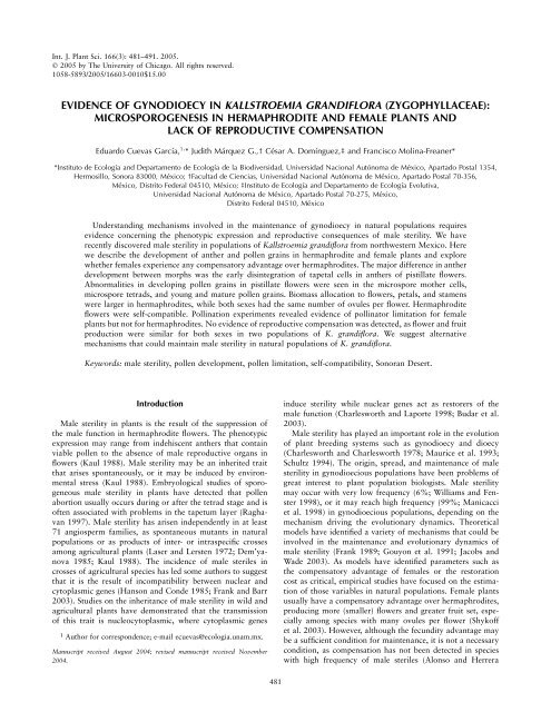 evidence of gynodioecy in kallstroemia grandiflora (zygophyllaceae)