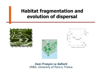 Habitat fragmentation and evolution of dispersal - Jean-Francois Le ...