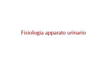 Fisiologia apparato urinario