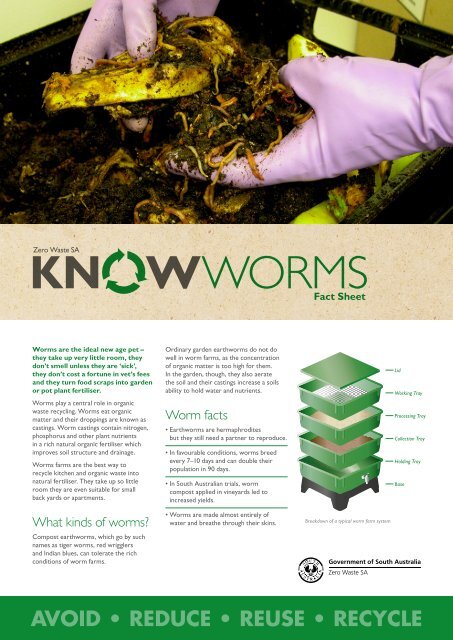fact sheet about worm farms. - Zero Waste SA - SA.Gov.au