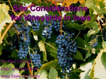 Site Considerations for Vineyards in Iowa - Viticulture Iowa State ...