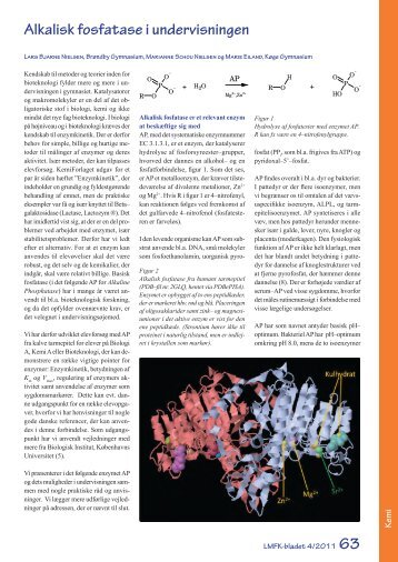 Alkalisk fosfatase i undervisningen - LMFK