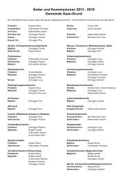 Ãmter & Kommissionen 2013-2016.xlsx - Gemeinde Saas-Grund