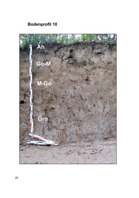 Bodenprofile - Geologischer Dienst NRW