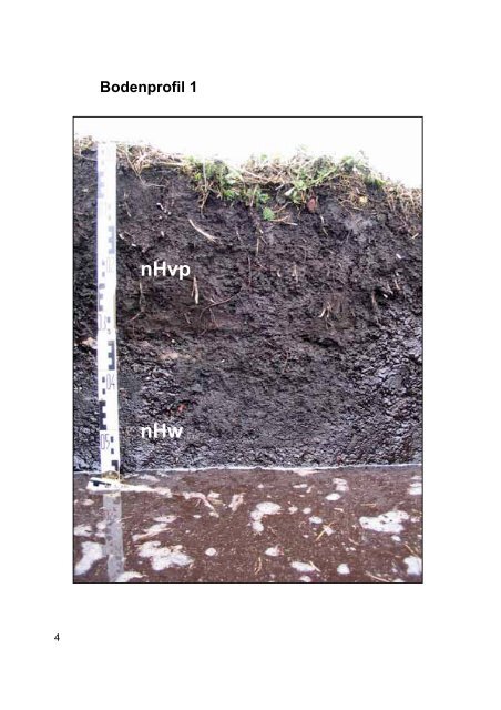Bodenprofile - Geologischer Dienst NRW