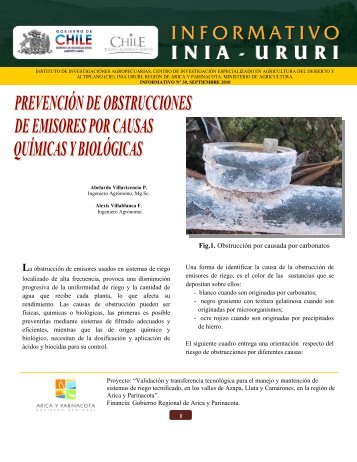 PrevenciÃ³n de obstrucciones de emisores por ... - Platina - INIA