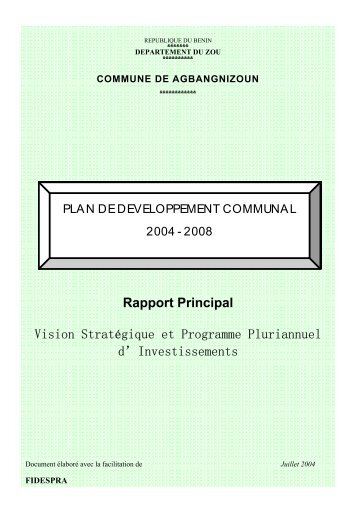 Rapport Principal Vision Stratégique et Programme Pluriannuel d ...