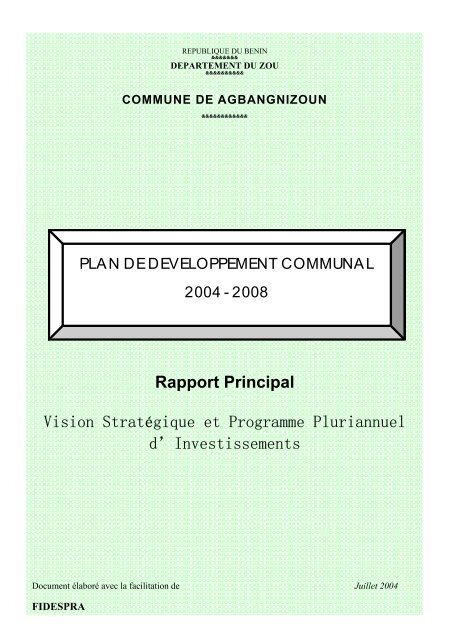 Rapport Principal Vision Stratégique et Programme Pluriannuel d ...