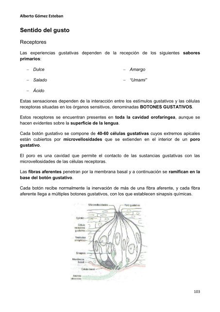 Neurociencia. Telencefalo.pdf - VeoApuntes.com