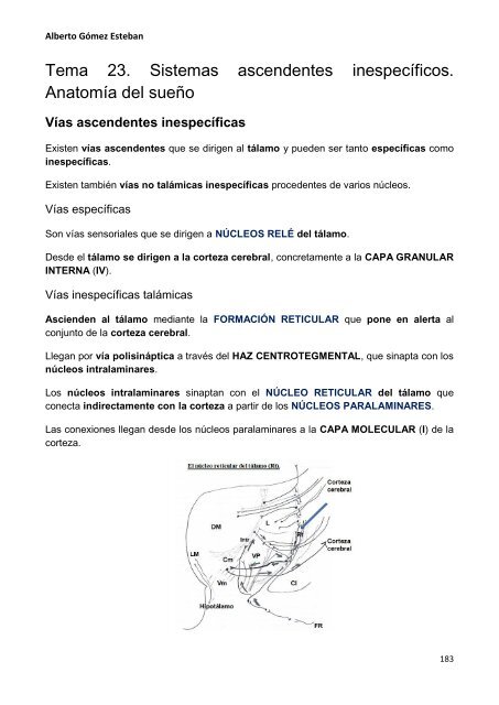 Neurociencia. Telencefalo.pdf - VeoApuntes.com