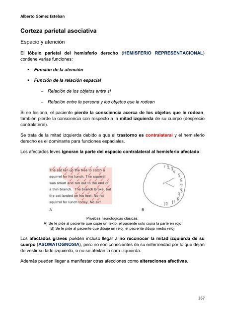 Neurociencia. Telencefalo.pdf - VeoApuntes.com