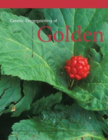 Genetic Fingerprinting of Goldenseal (Hydrastis canadensis L ...