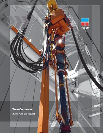 2003 Annual Report - TESCO Corporation