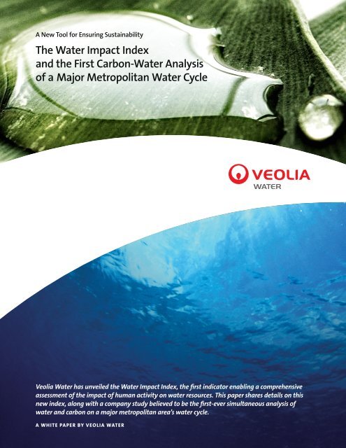 Water Impact Index - Veolia Water Solutions & Technologies