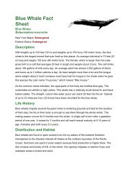 Blue Whale Fact Sheet - New York State Envirothon
