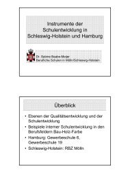 Instrumente der Schulentwicklung in Schleswig-Holstein und ...