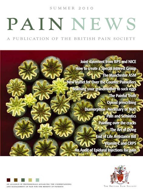 Summer 2010 - The British Pain Society