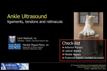 Ankle Ultrasound