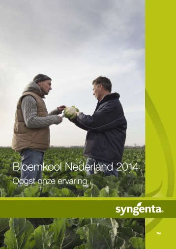 Bloemkool Nederland 2013 - Syngenta