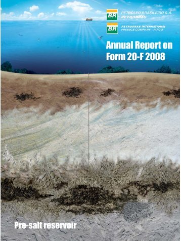 Annual Report on Form 20-F 2008 - Petrobras