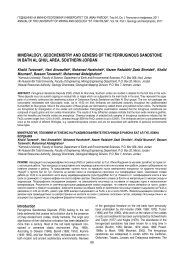 Mineralogy, geochemistry and genesis of the ferruginous sandstone ...