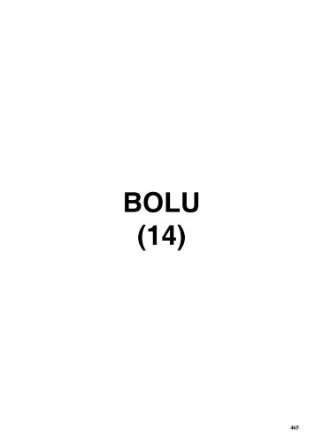 BOLU (14)