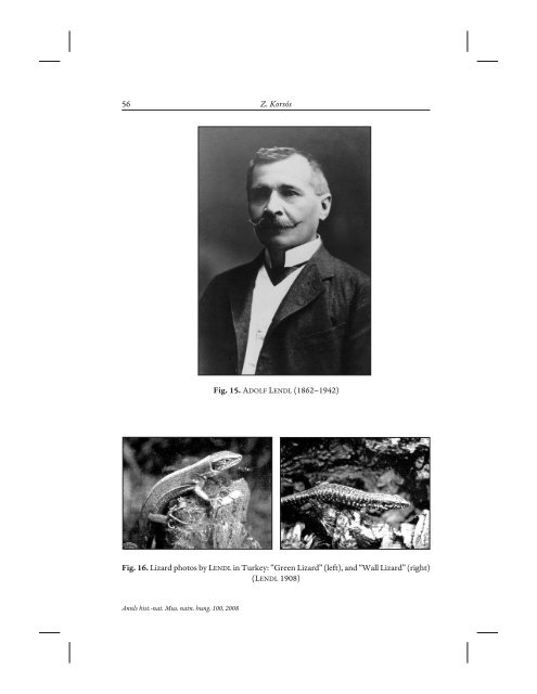 History of the Herpetological Collection of the ... - KorsÃ³s ZoltÃ¡n