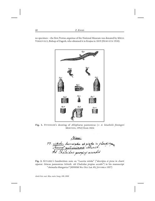 History of the Herpetological Collection of the ... - KorsÃ³s ZoltÃ¡n